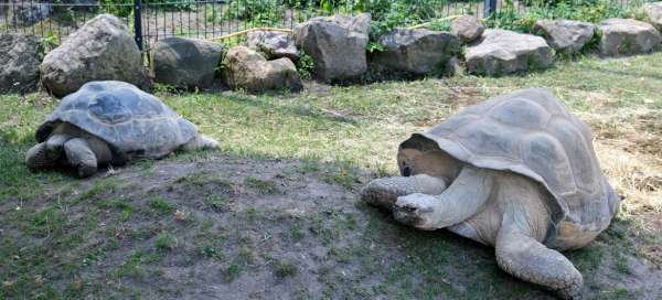 Bezoek de dierentuin van Hoyerswerd: Weer en seizoen