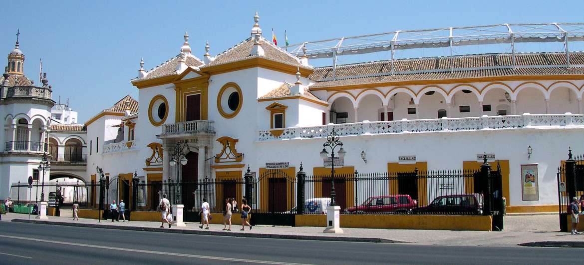 Seville and surroundings: Sightseeing
