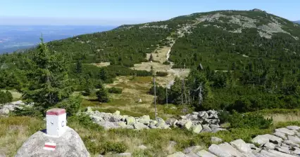 ブラックサドル (1,360m)