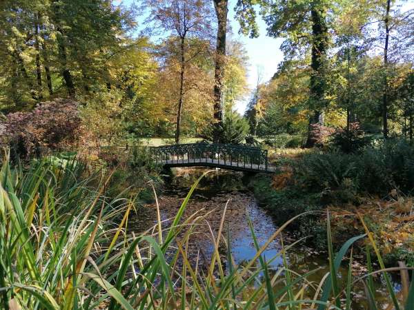 Jardin japonais