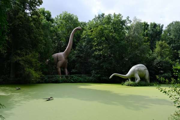 Pond with brontosaurs