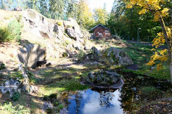 The lake below the hill