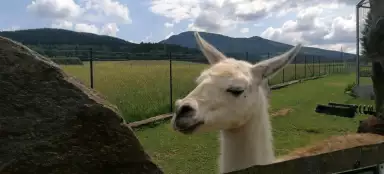 Excursión al Zoo Faunapark Horní Lipová