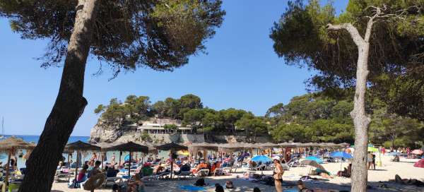 Visite de la plage de Cala Galdana