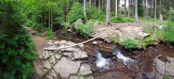 Hike from Nové hrady to Bor and back.