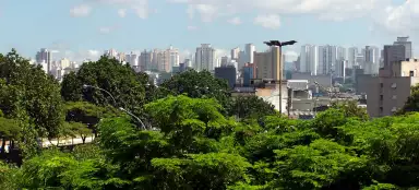 圣保罗