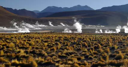 间歇泉 el Tatio