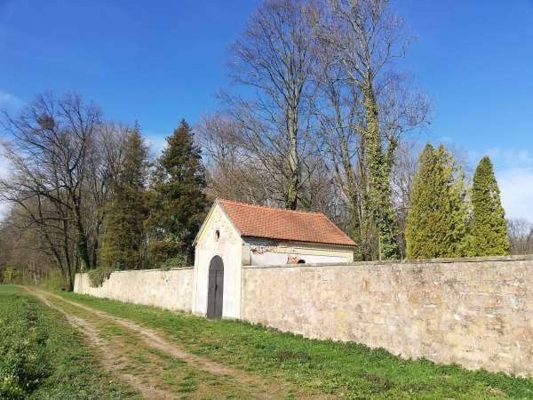 Cimetière juif de Jicin