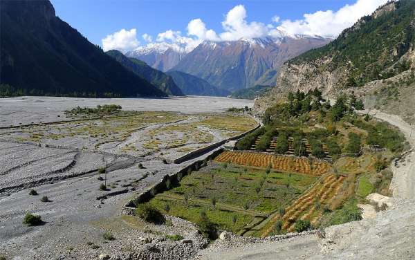 Oasis en Kali Gandaki