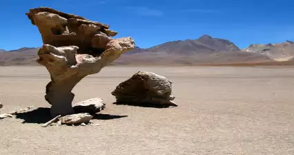 Formación rocosa Arbol de Piedra