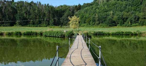 Hike Čížovka - Suhrovické rybníky: Accommodations
