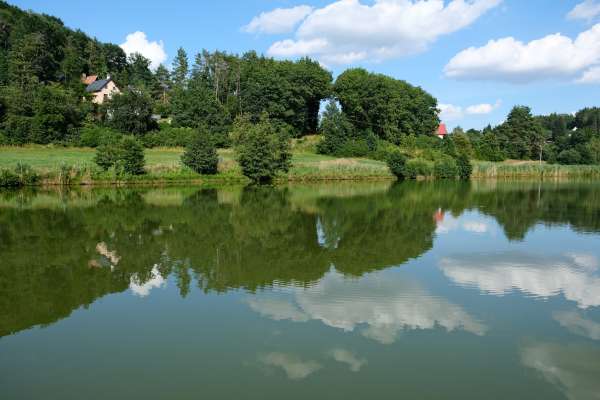 A walk around the ponds