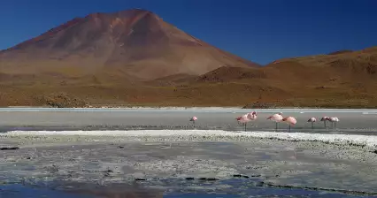 Cerro Araral