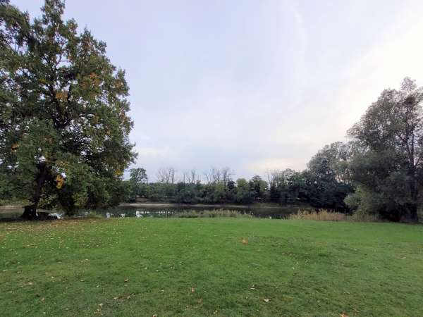 View of the pond