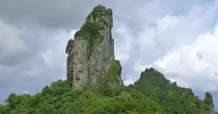 젤라의 전망