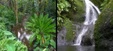 Chutes de Wigmore