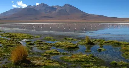 Laguna Caňapa