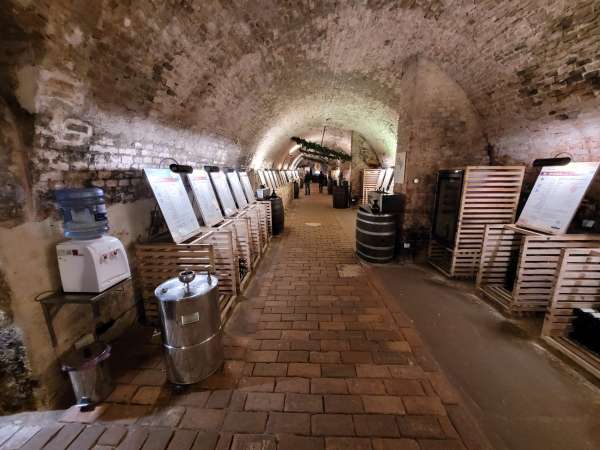 Castle cellar