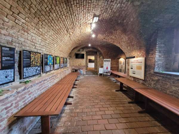 Exhibition dedicated to winemaking