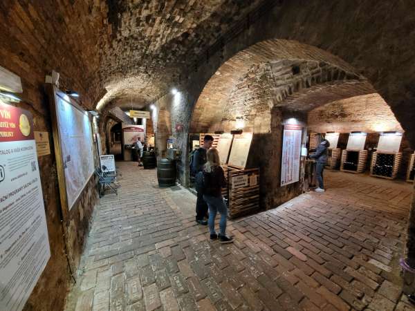 Salon des vins de la République tchèque