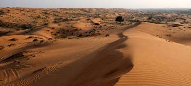 Пустыня Аль-Вади