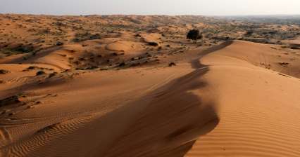 Al Wadi-woestijn