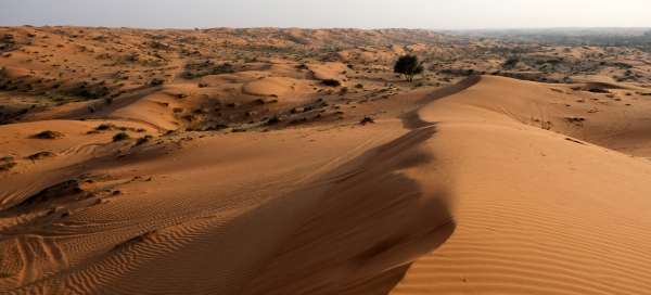 Al Wadi desert: Weather and season