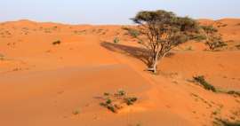 Los lugares más bellos de Ras Al Khaimah