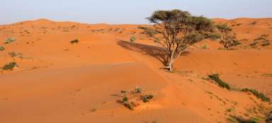 Spacer po pustyni Al Wadi