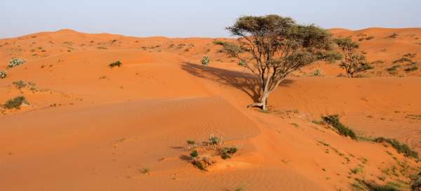 Una passeggiata nel deserto di Al Wadi: Alloggi