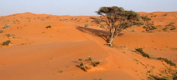 A walk in the Al Wadi desert: Weather and season