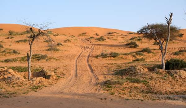 De weg naar de duinen