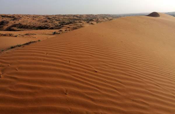 Sotto la sommità della duna