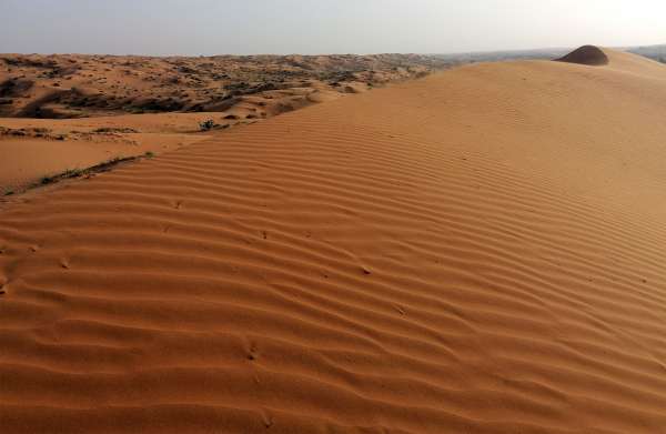 Under the top of the dune