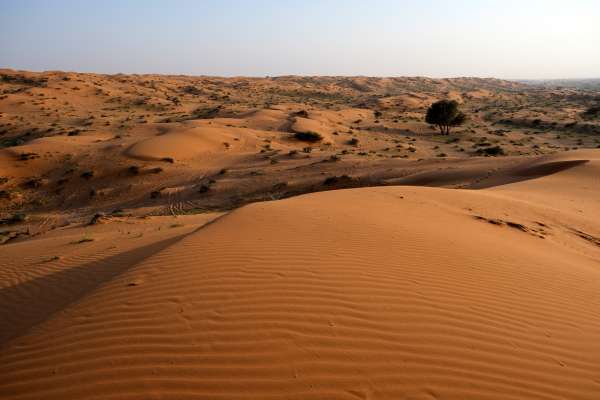 De Al Wadi-woestijn op zijn best