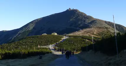 ジャイアンツサドル (1,390m)