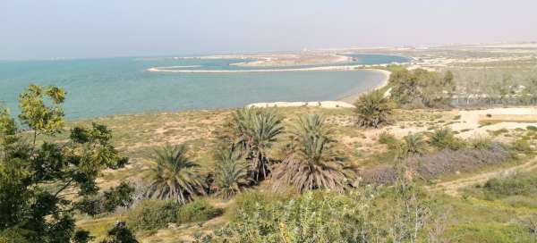 Umm Al Quwain (Emirat): Pogoda i pora roku