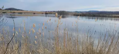 미국 자연보호구역