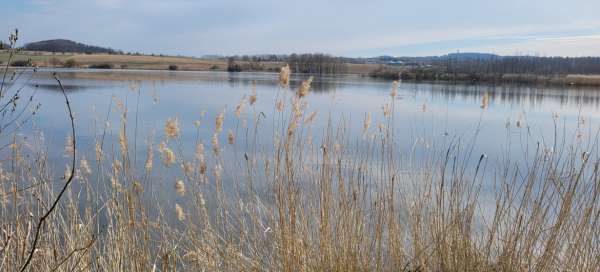 Amerika Natuurreservaat: Accommodaties