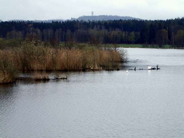 An important breeding ground and migration stop for many species of birds