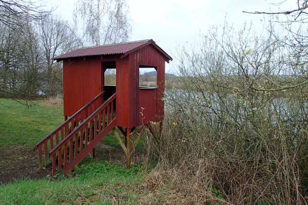 Bird observatory