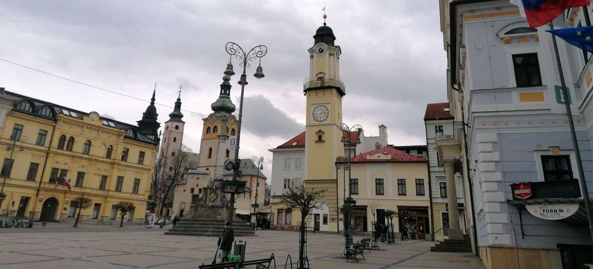 Lidwoord Banska Bystrica
