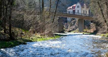 Řeka Kamenice (přítok Jizery)
