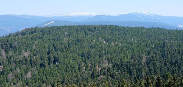 Vue sur les Monts des Géants