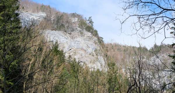 Views of rock faces