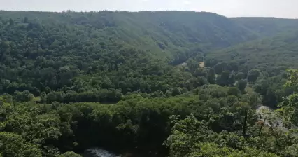 ショベスの視点