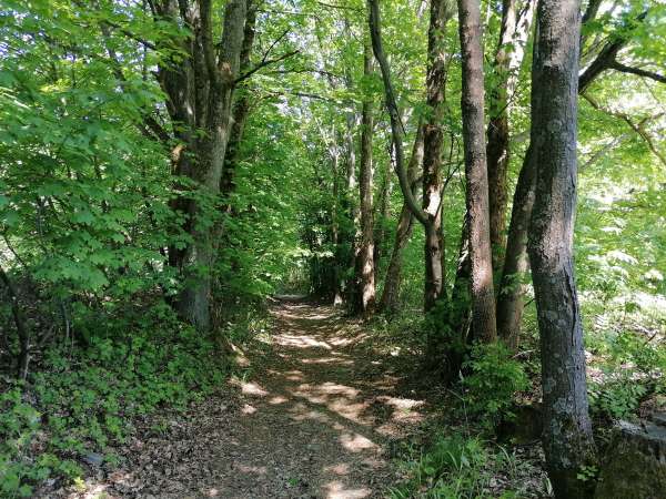 Oud spoor