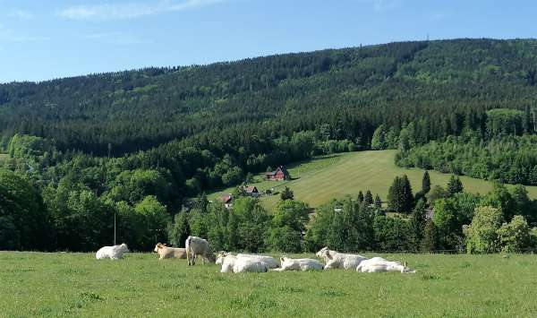 Bela vista de Černá Studnica