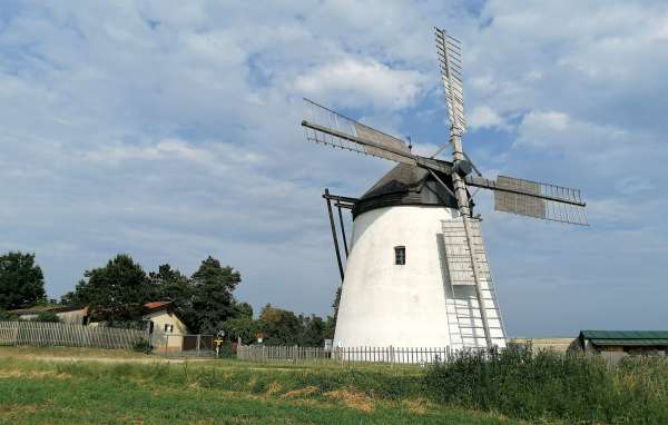 Windmill in Retz