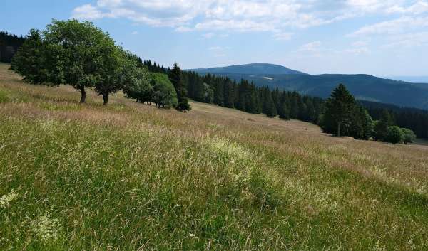 Blick auf den Schwarzen Berg